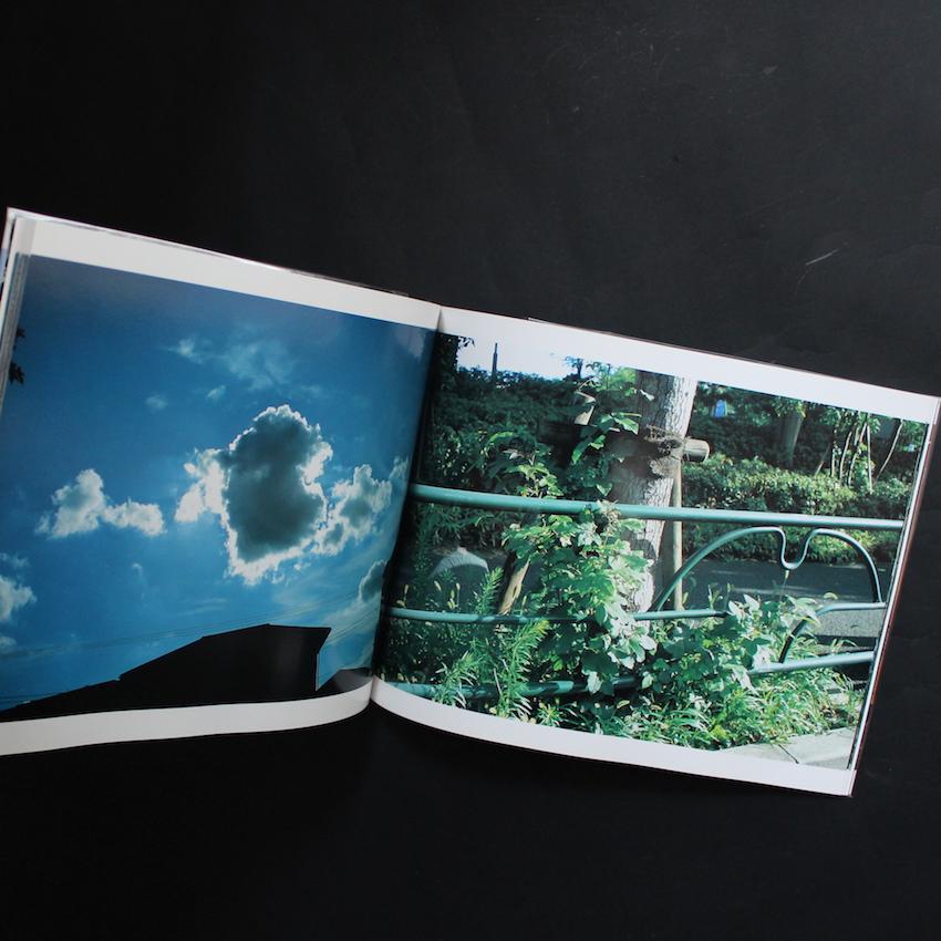 夏の中へ / Insert in Summer - 荒木 経惟 / Nobuyoshi Araki