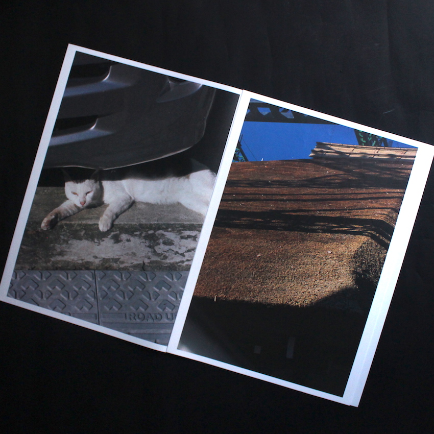 中平卓馬タブロイド判写真集（オシリス） - 中平 卓馬 / Takuma Nakahira