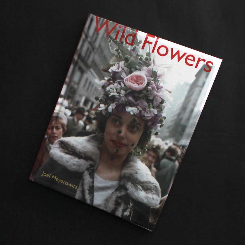 Wild Flowers（2021） - Joel Meyerowitz