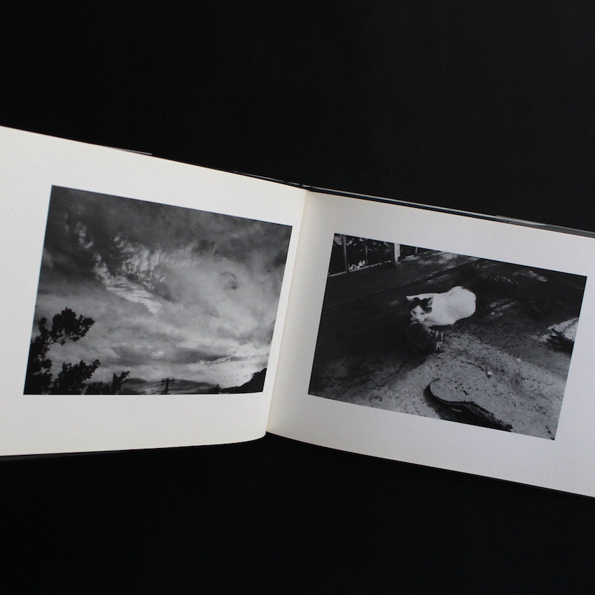 センチメンタルな旅 春の旅 / Sentimental Journey, Spring Journey