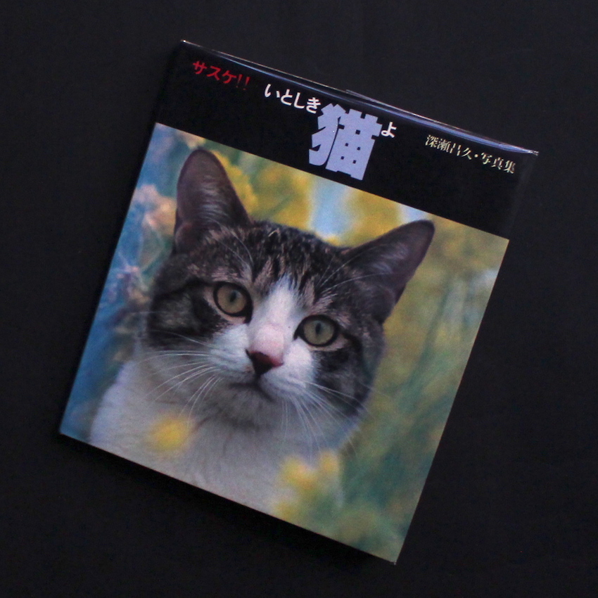 サスケ！！ いとしき猫よ（Second Printing） - 深瀬 昌久 / Masahisa