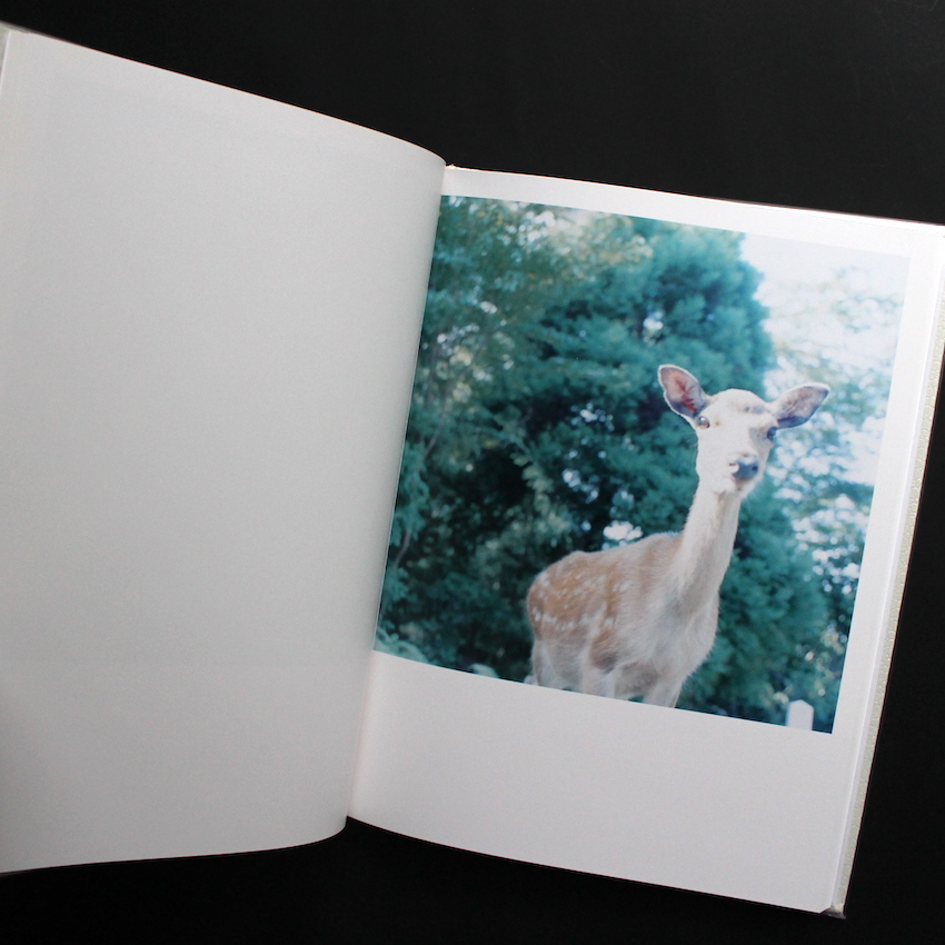 アイーラ / Aila（First Edition, With OBI） - 川内 倫子 / Rinko