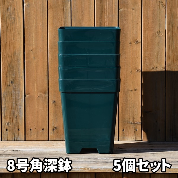 8角×5鉢セット】プレミアローズセレクション【8号角深鉢5鉢セット