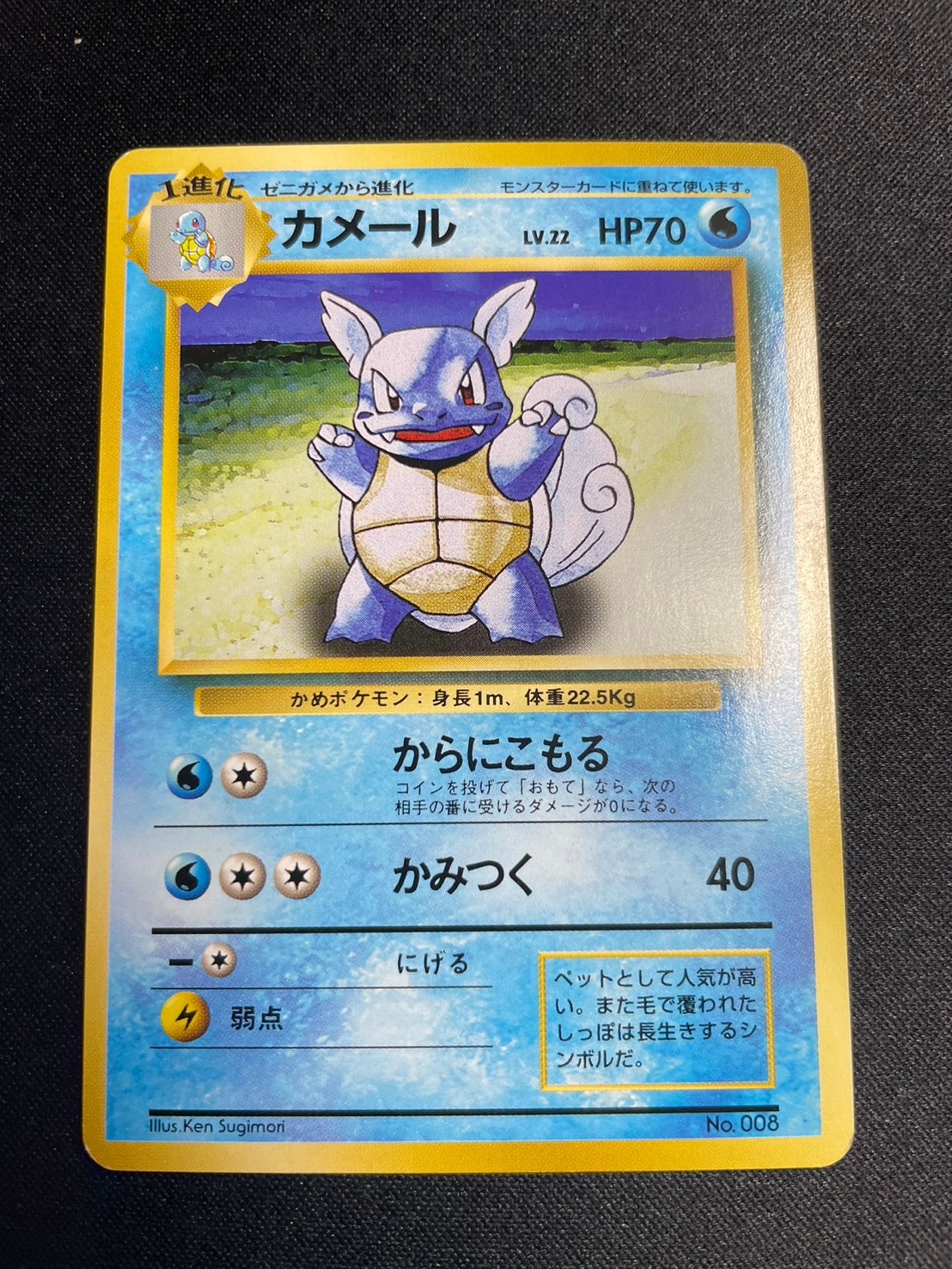 1_000000027346.jpg?1723886590