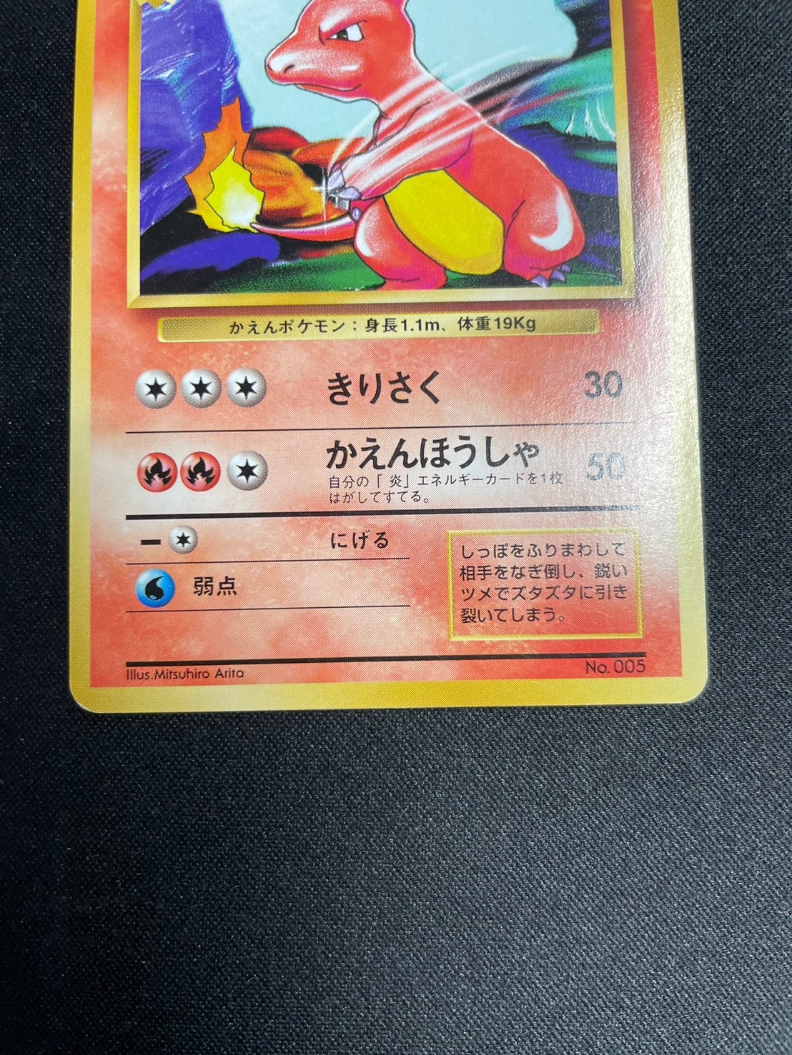 3_000000027349.jpg?1723885300