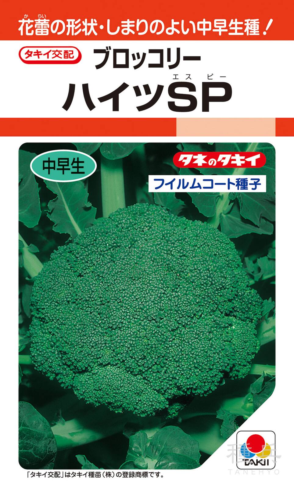 ブロッコリー種子 ピクセル コート種子5000粒×2ケ ブロッコリー種子