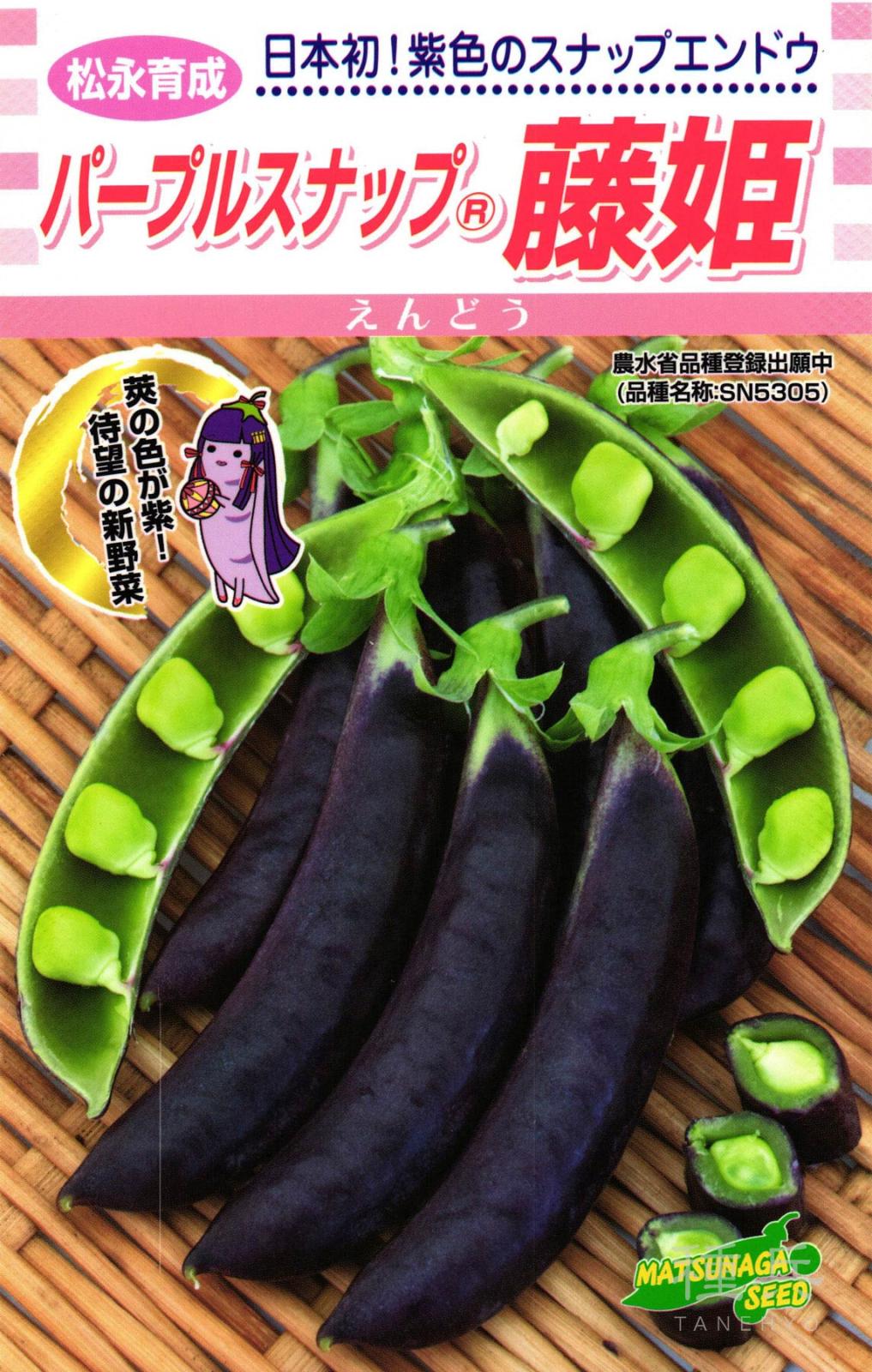 紫スナップエンドウ 種 『パープルスナップ 藤姫』 松永種苗 | たね