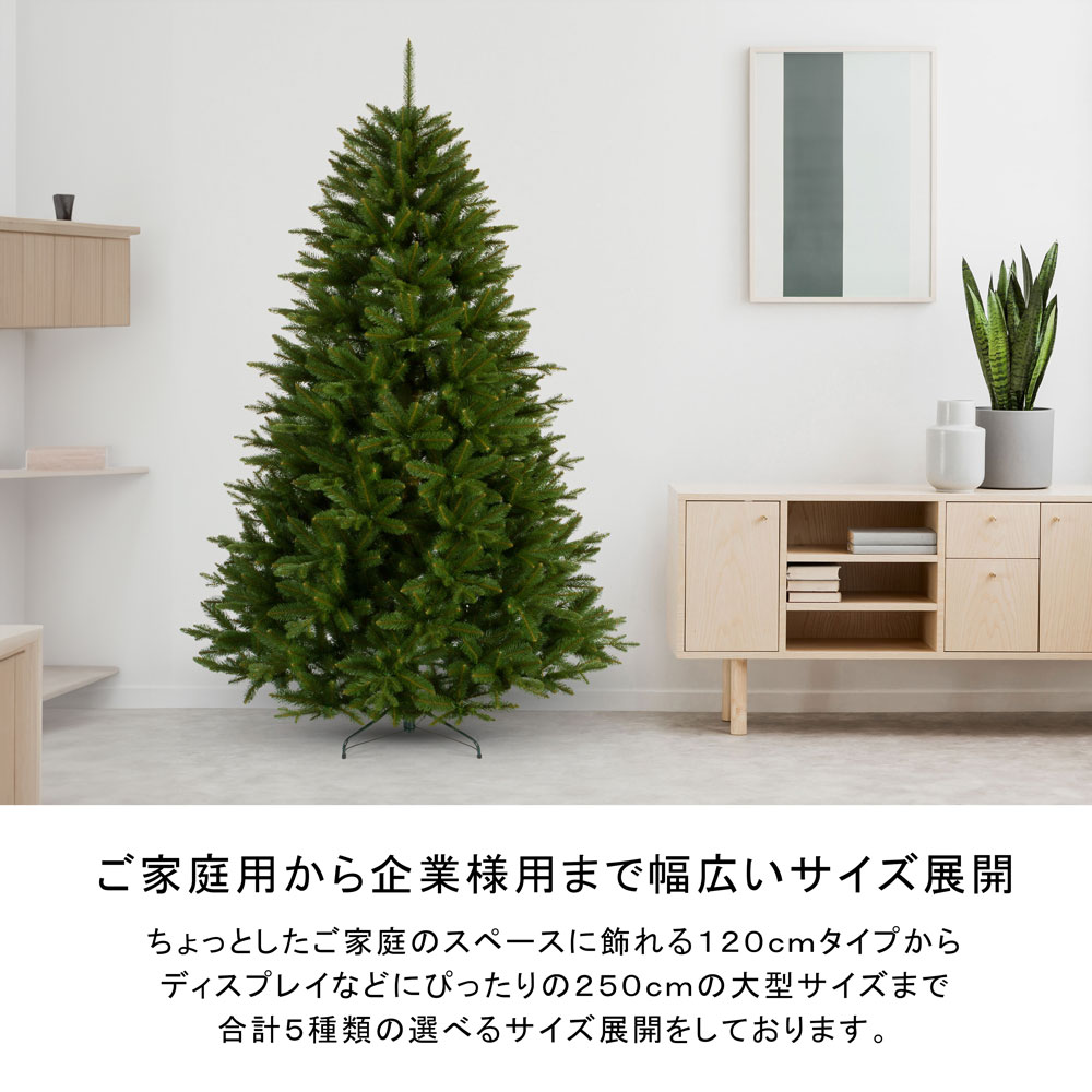 CLAREX SLENDER(クラレックス スレンダー) ポーランド製 クリスマス