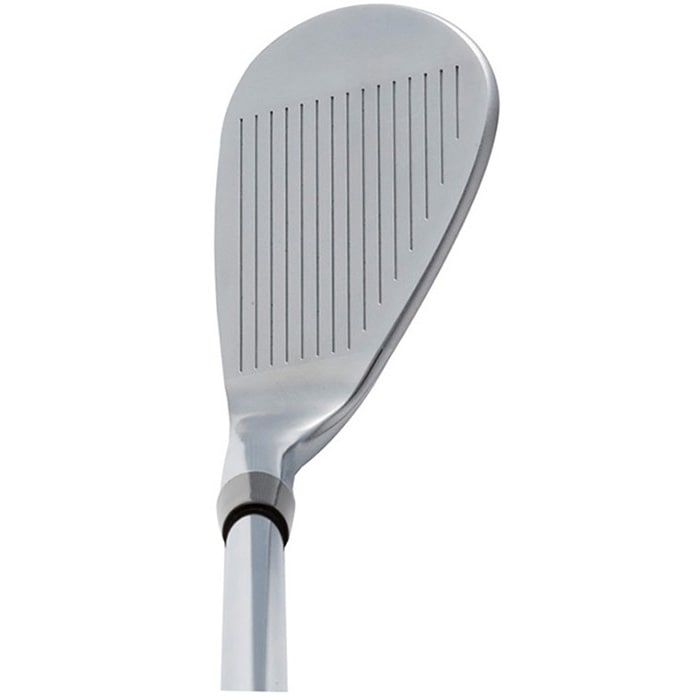 Kasco DW-113 ストレートネック ヘッドのみ キャスコ ドルフィン