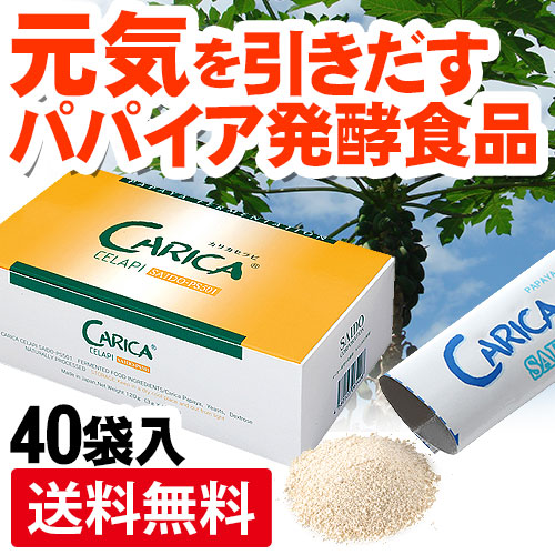 カリカセラピSAIDO-PS501 (3g×40袋)｜トータルヘルスデザイン公式