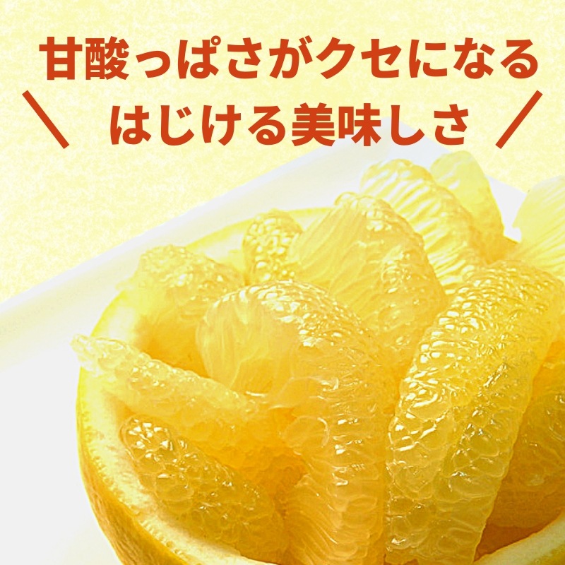 矢野農園 土佐文旦M～3L(5～10㎏)、はねもの｜土佐うまいもの100選