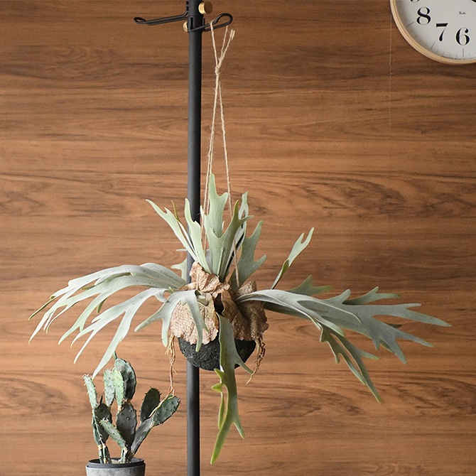 1_000000006589.jpg?1678209906