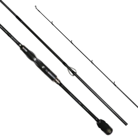 LESTER RULER sensitivity 7.8 スロー | ロッド,ショア,エギング