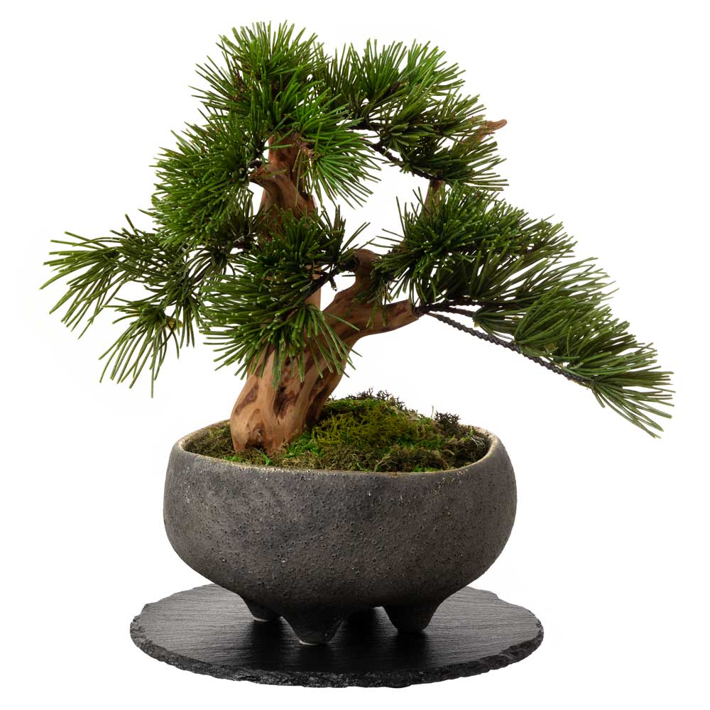 フェイクアート盆栽 然-ZEN- 寸-SUN-プレミアム 本物を知る庭師職人が