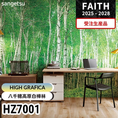 AA級 (1000番) クロス