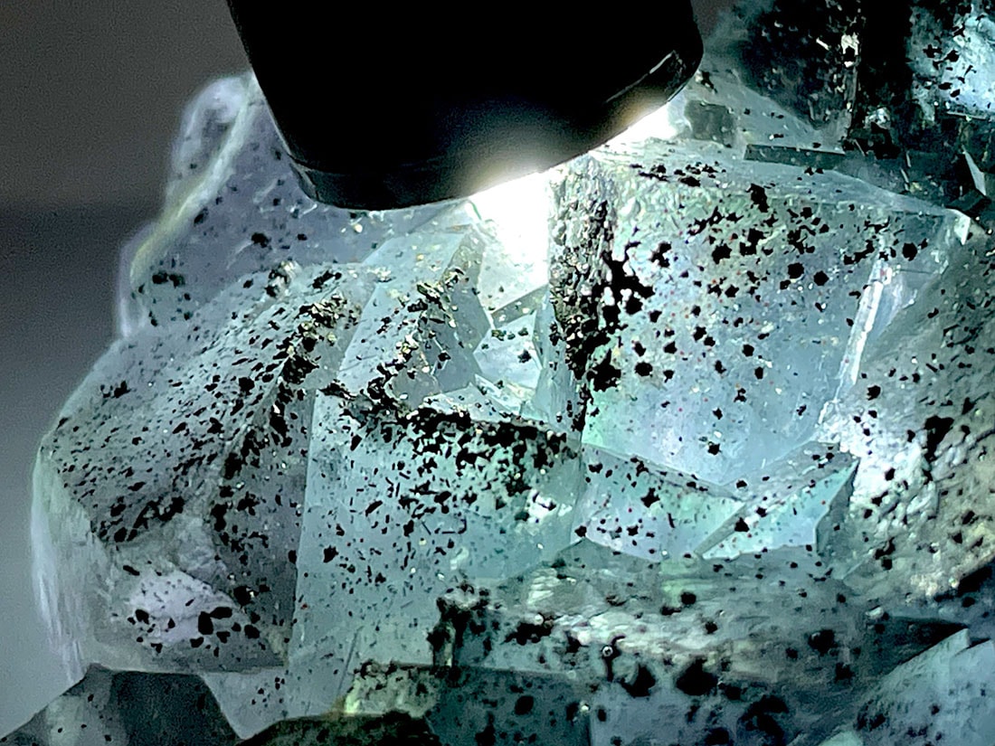 福建省産 フローライト (パイライト/マーカサイト共生) / Fluorite