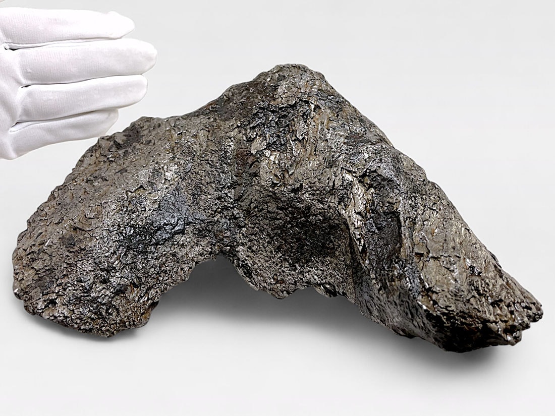 アルゼンチン産 大型 カンポデルシエロ隕石