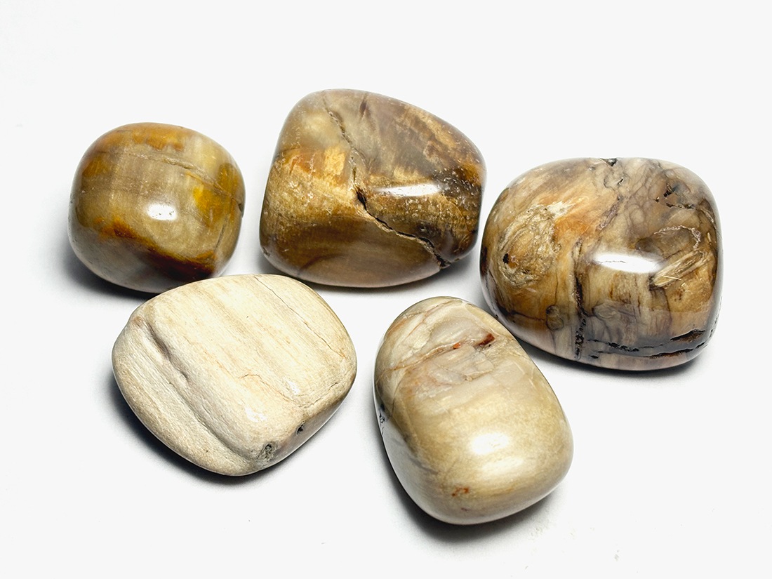 マダガスカル産 ペトリファイドウッド タンブル 5個セット ( 珪化木