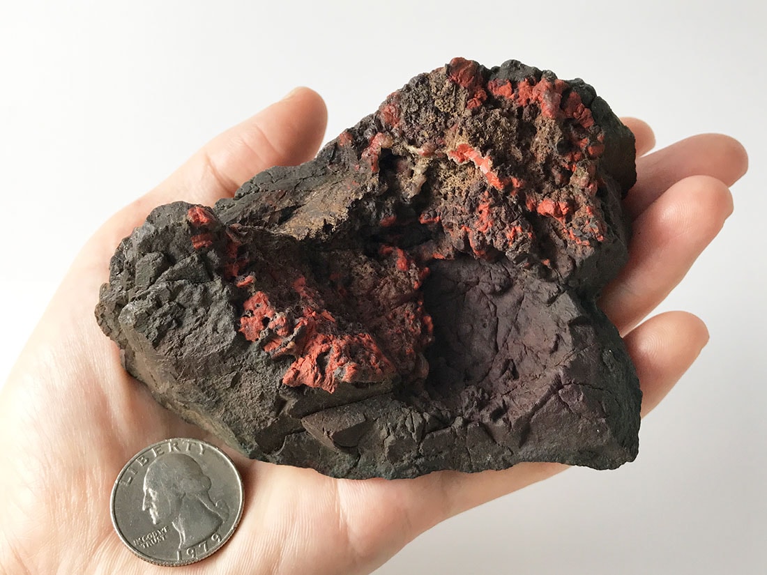 岐阜県根尾谷産 菊花石