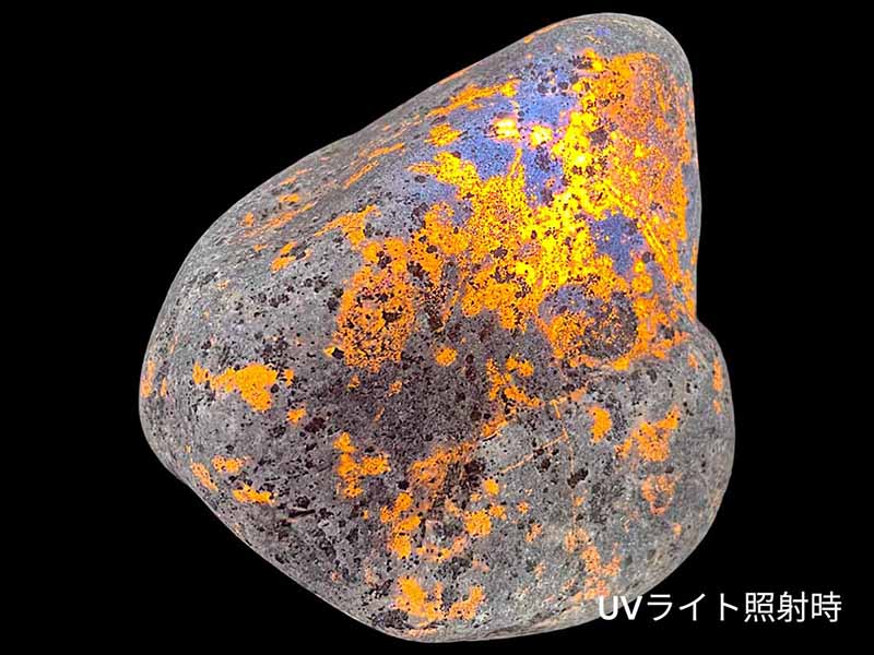 ミシガン州産 ユーパーライト/Yooperlite(蛍光)