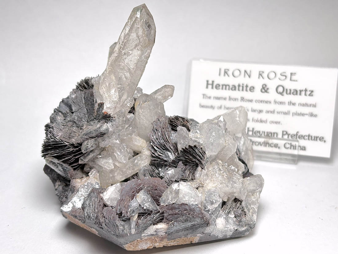 広東省産 アイアンローズ（ヘマタイト＆水晶）/ Iron Rose ( Hematite