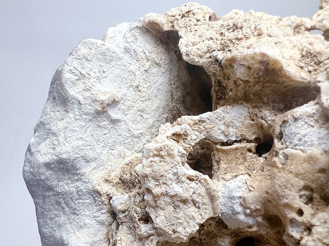 岐阜県/滋賀県 伊吹山産 さざれ石