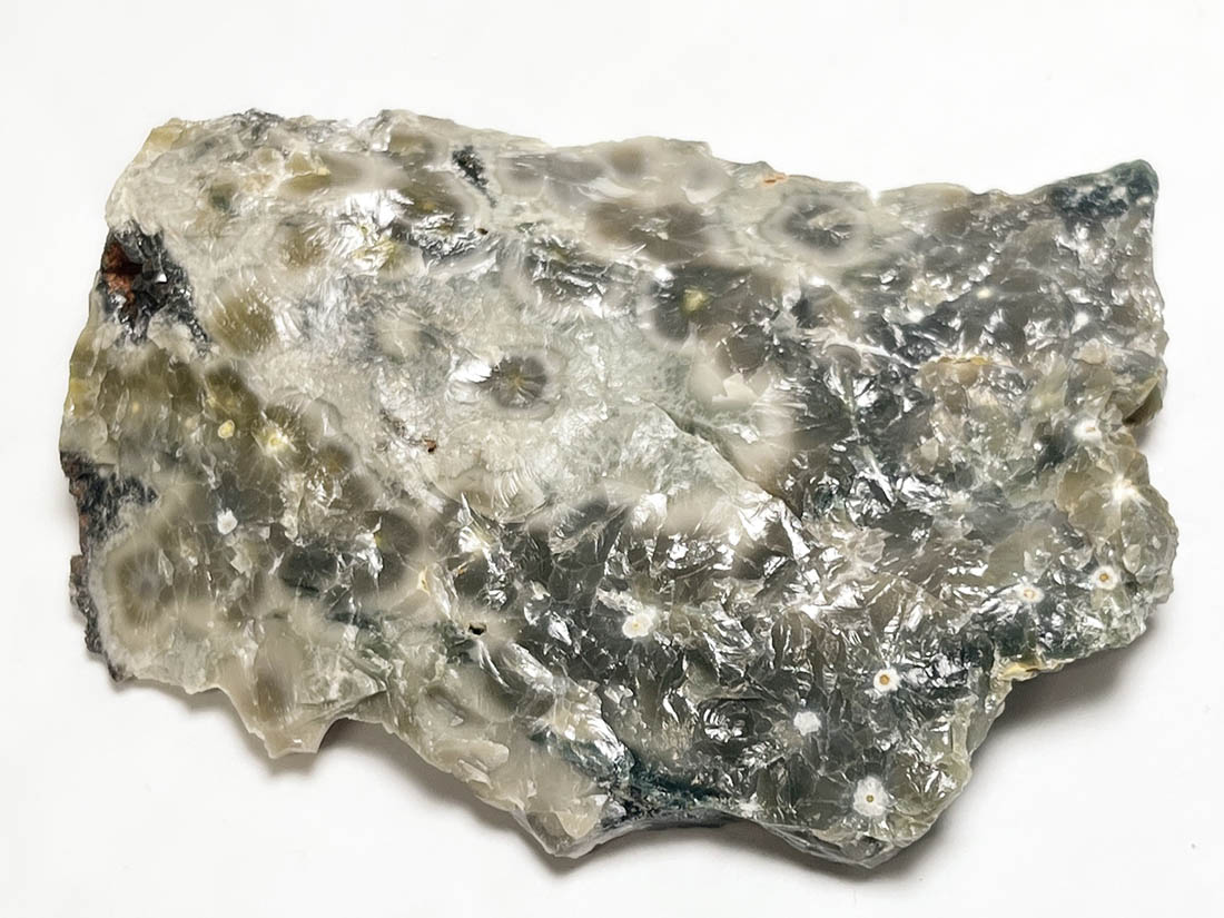 マダガスカル産 オーシャンジャスパー ラフ ( 碧玉 )/ Ocean Jasper