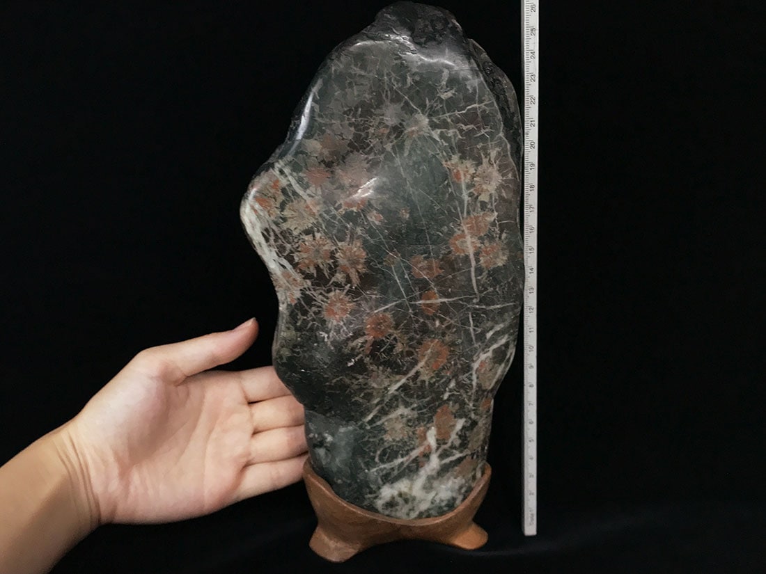 岐阜県根尾谷産 菊花石 (木製台座付き)