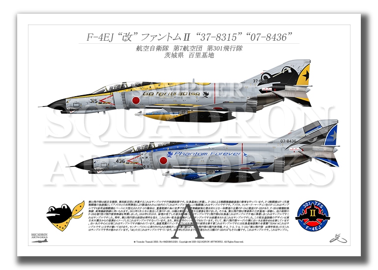 航空自衛隊目指す方必見!!! ファイターへの道 SPECIAL BOX〈4枚組〉 航空
