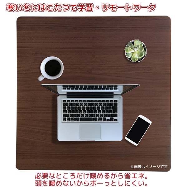 2_000000006596.jpg?1737019446