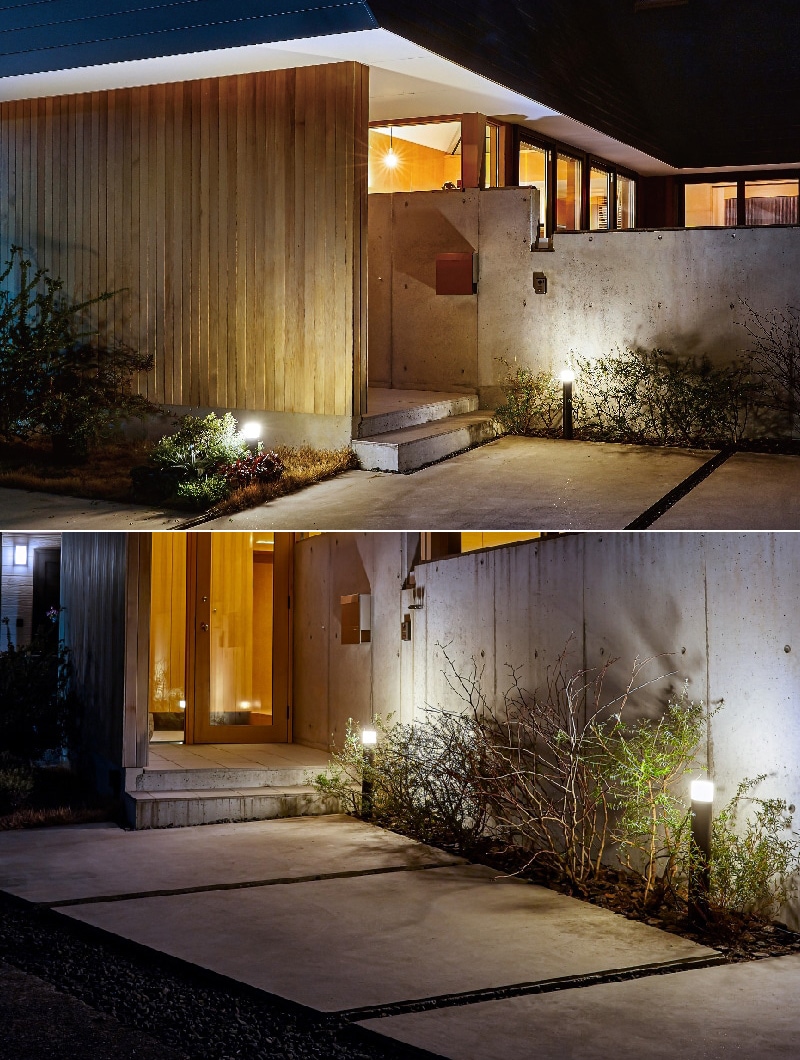 2_000000011497.jpg?1741229050