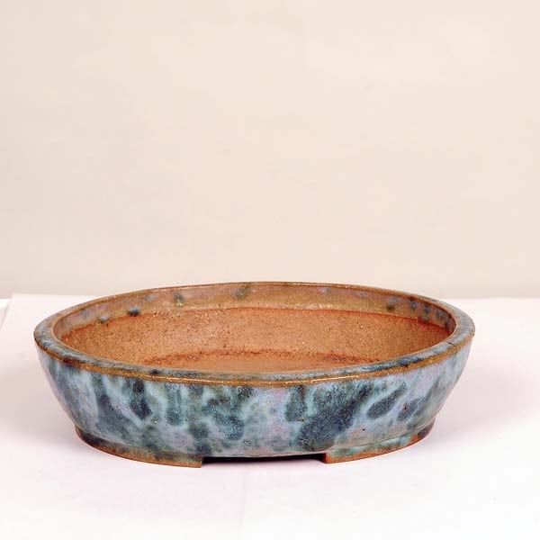 盆栽小鉢：東福寺 楕円鉢 19.8cm【現】【送料無料】 | 盆栽鉢・水盤