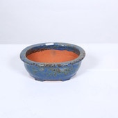 盆栽鉢・水盤,現代小鉢,秀峰(しゅうほう) | 遊恵盆栽 本店