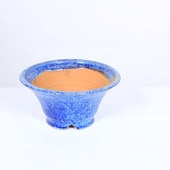 盆栽鉢・水盤,現代小鉢,秀峰(しゅうほう) | 遊恵盆栽 本店