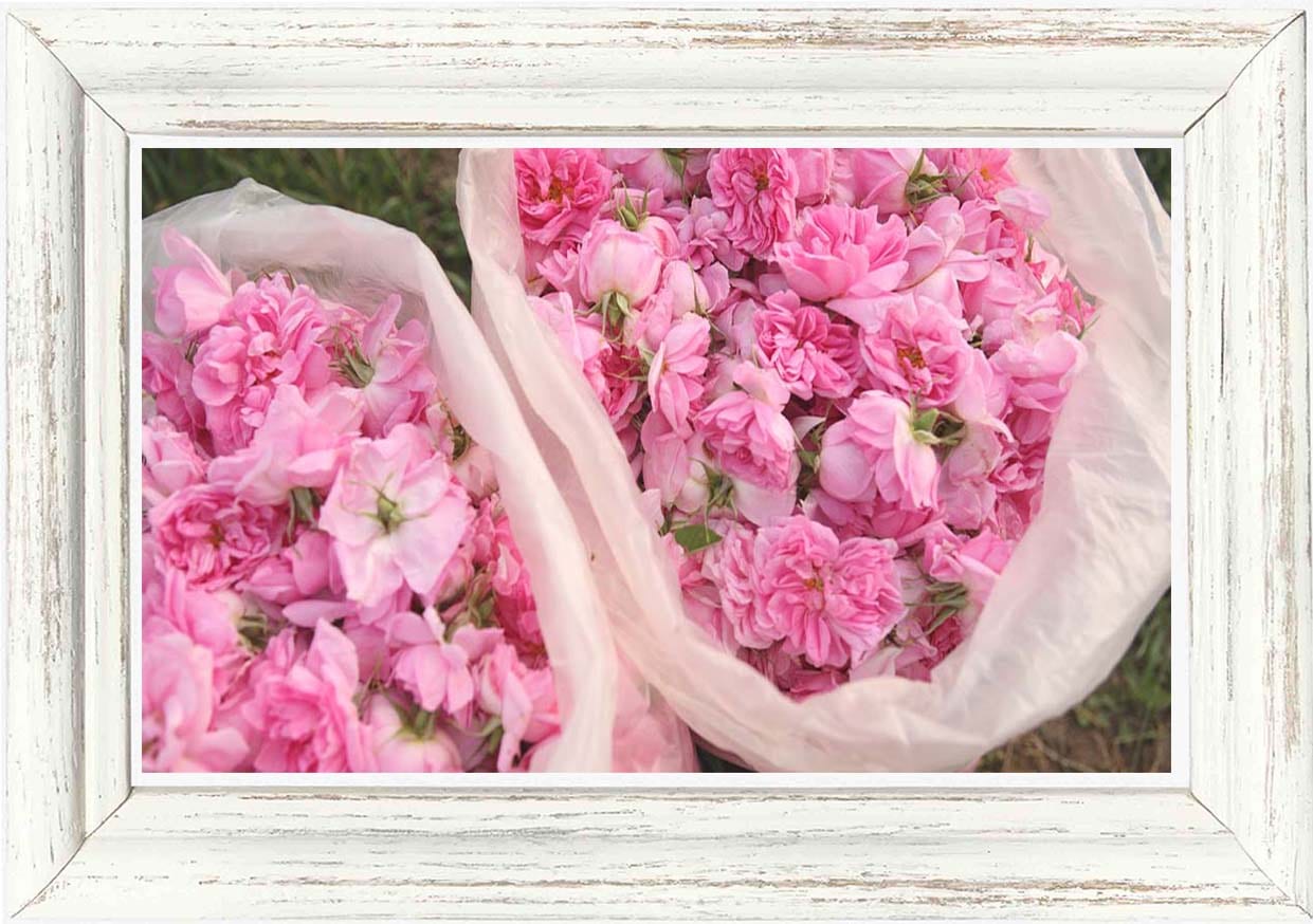 バラ売り1枚】ロザリナブライトニングフェイスマスク 1枚