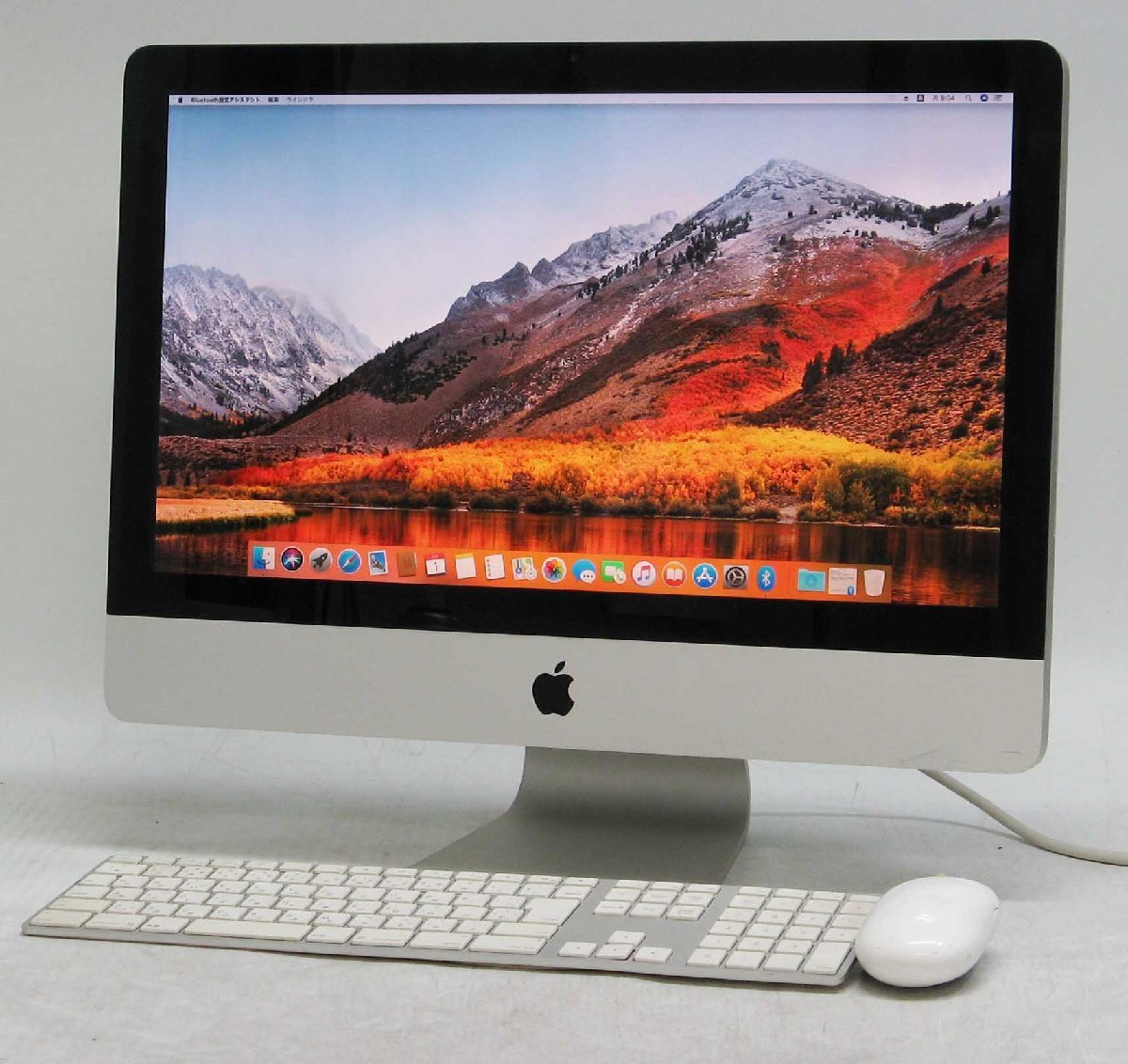 C-2204/Apple iMac 21.5inch Late 2009 MB950J/A Webカメラ Core2Duo