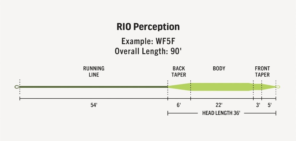 Premier RIO Perception | 特価品を探す | WALTON'S INC
