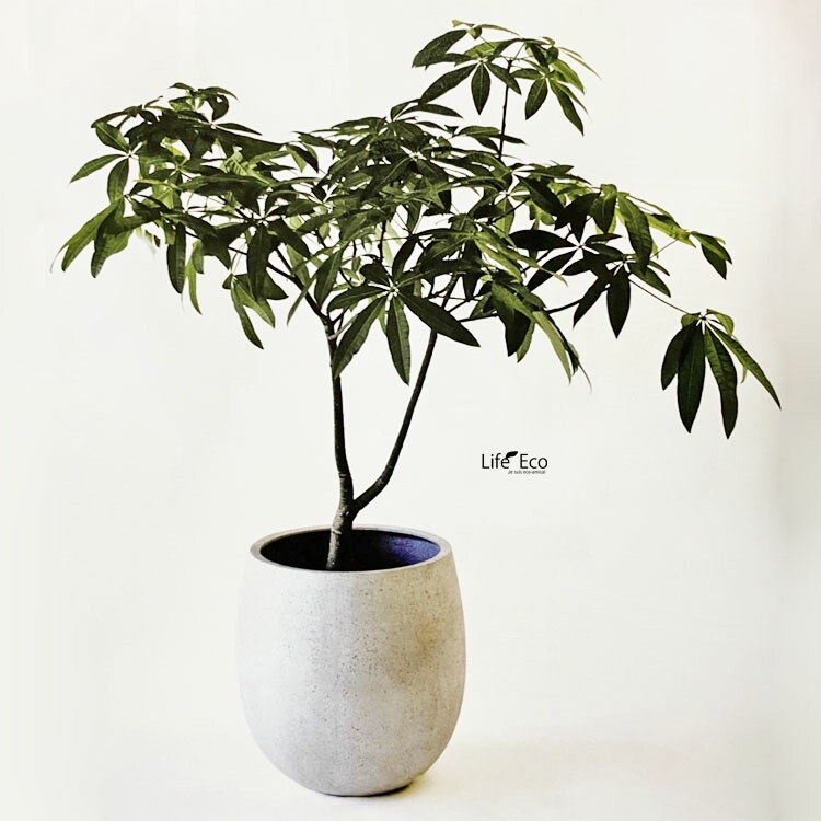 植木鉢・鉢カバー 軽量 テラニアス バルーン アンティークホワイト（白