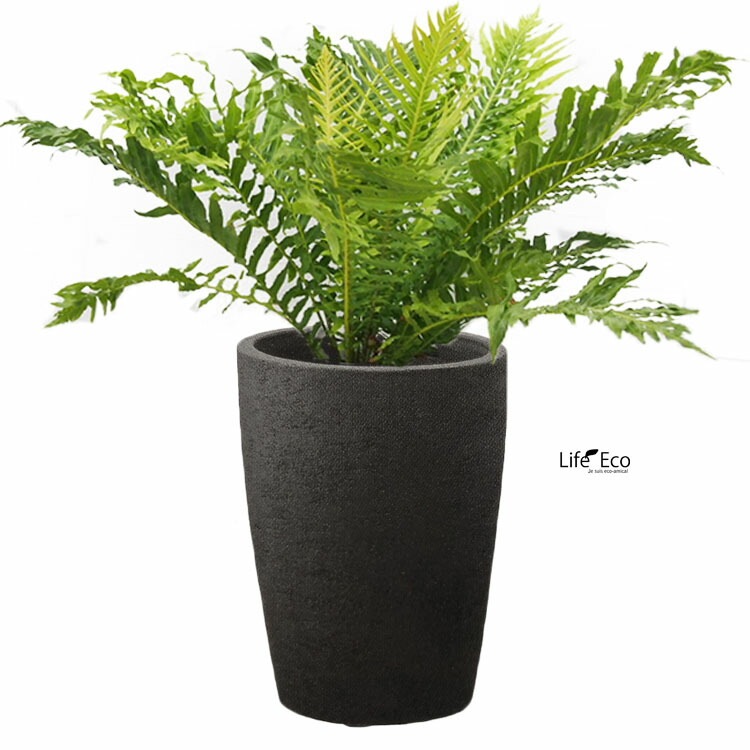 植木鉢 テラコッタ（素焼鉢）カイト コニック ダークブラック 黒 φ25cm