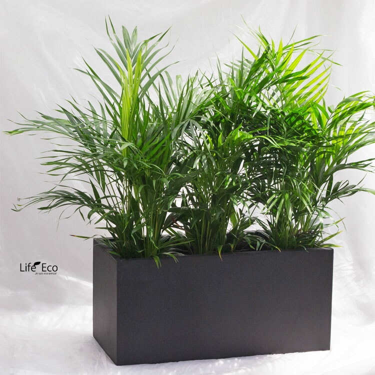 植木鉢 大型 軽量 エイリアス プランター ブラック（黒） L79cm×W37