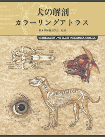犬の解剖カラーリングアトラス | 基礎獣医学,解剖・組織学 | 株式会社