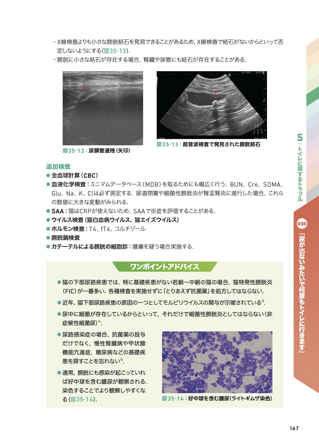 こう考える！ 猫の主訴100から紐解く診療ハンドブック | 臨床獣医学