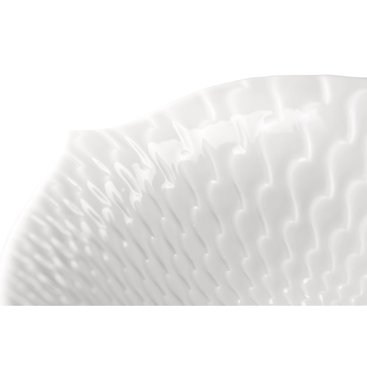 5_000000000672.jpg?1769578298