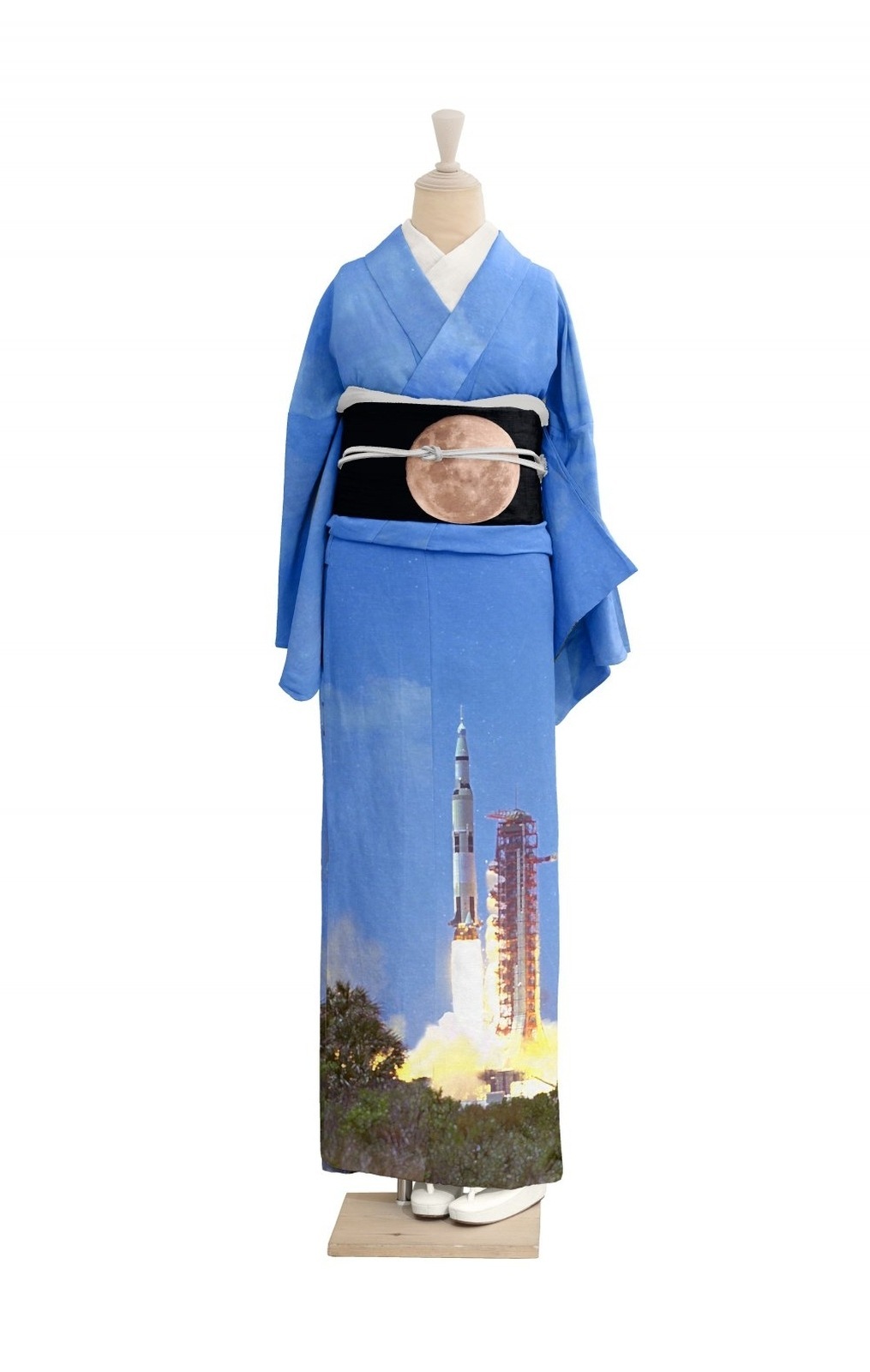 絵羽） 着物 AK030502 | 柄別,風景・宇宙 | ゴフクヤサン・ドットコム