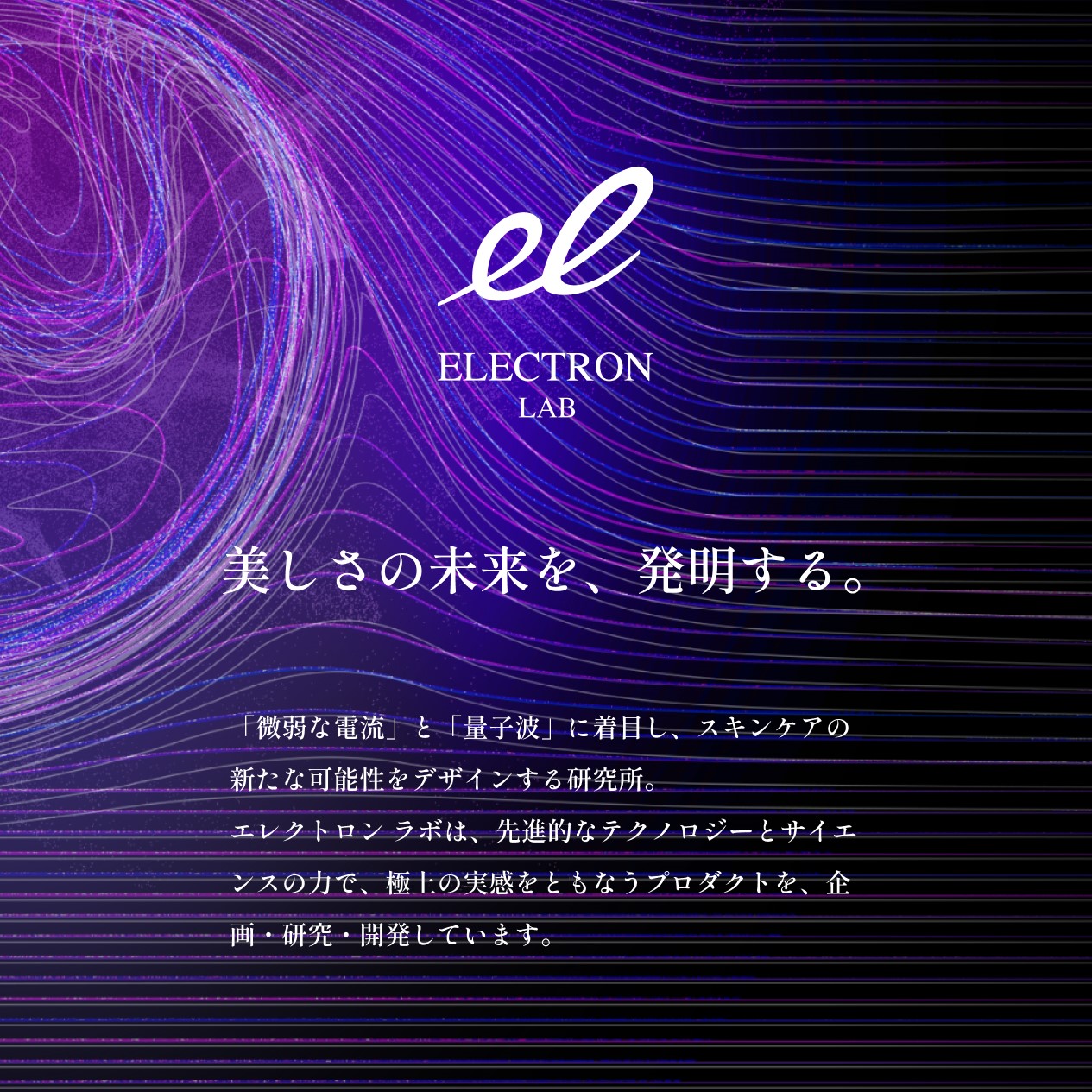 デンキバリブラシ(R)2.0専用ケースセット | ELECTRON ONLINE SHOP