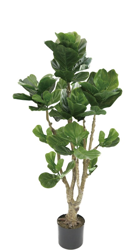 フェイクグリーン カシワバゴム1600｜フェイクグリーン・人工植物 専門