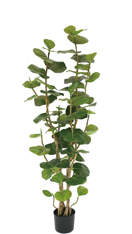 フェイクグリーン シーグレープ1600｜フェイクグリーン・人工植物 専門