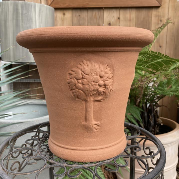 テラコッタ鉢 ウィッチフォード Whichford RHS Apple Tree Pot rhs18