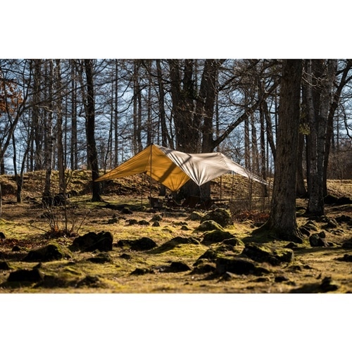 ゼインアーツ ZANE ARTS ゲウ GEU TP-003 | GLAGH グラフ