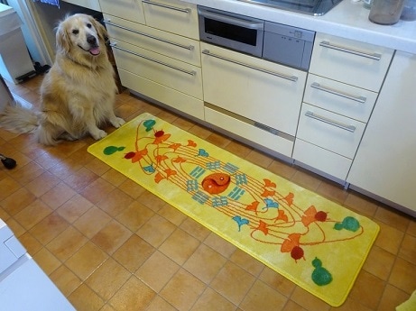 森田健（不思議研究所）